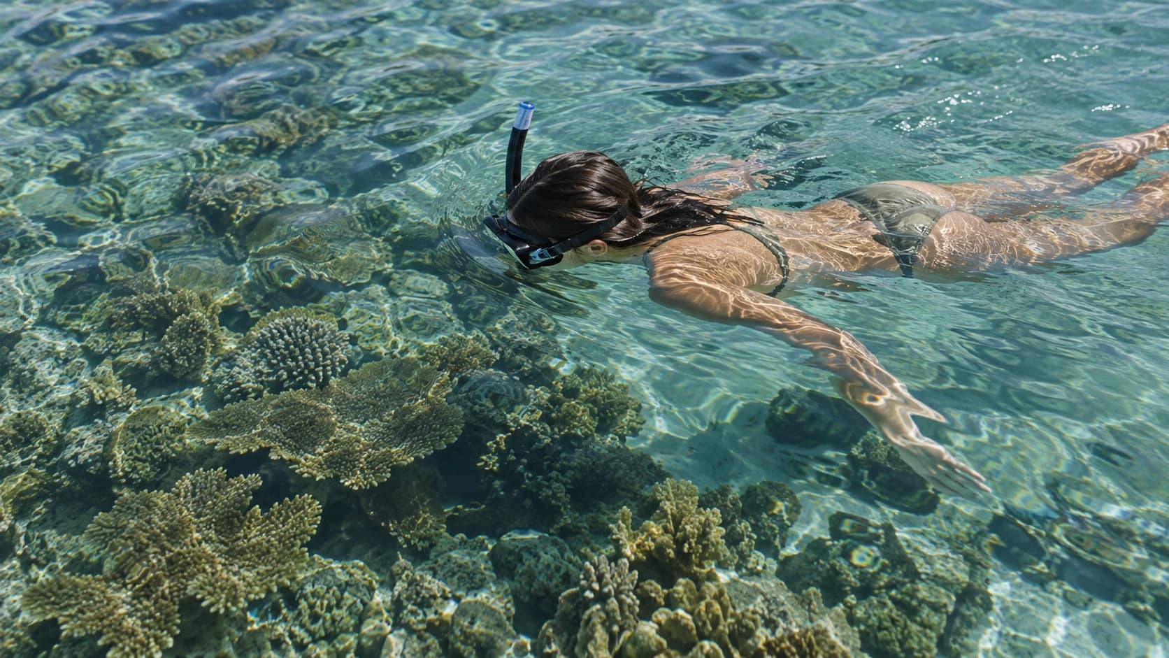A guest floating at the surface with a mask and snorkel above a shallow coral reef
